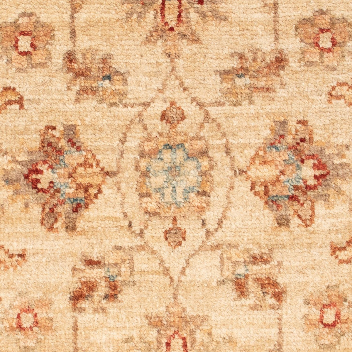 Tapis Ziegler - 70 x 50 cm - beige