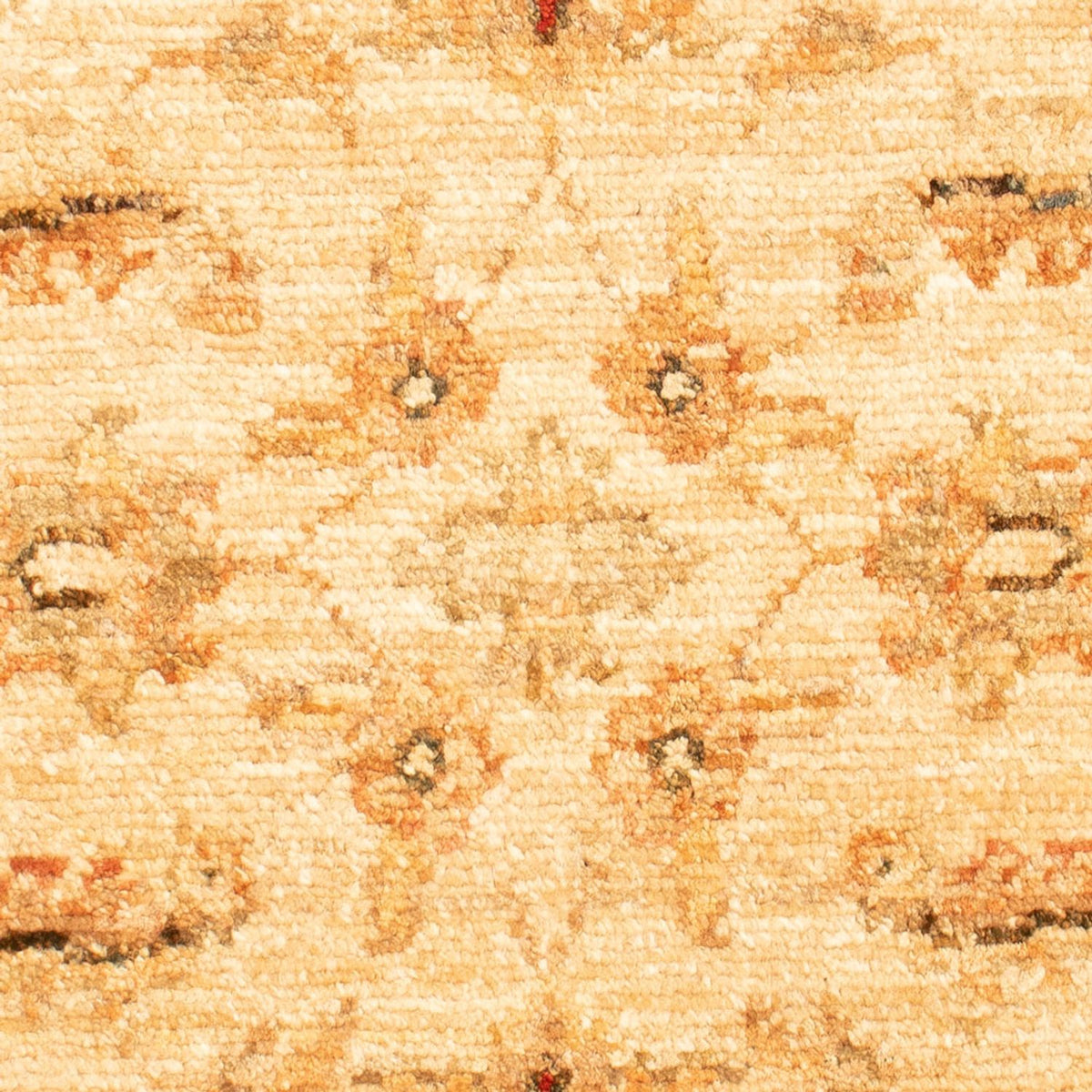 Tapis Ziegler - 70 x 50 cm - beige