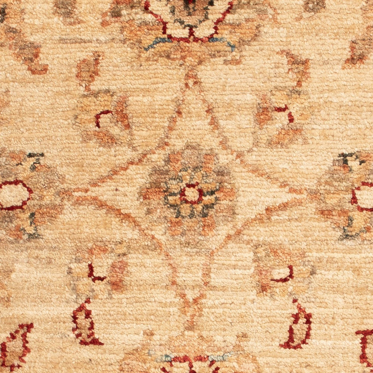 Tapis Ziegler - 65 x 51 cm - beige