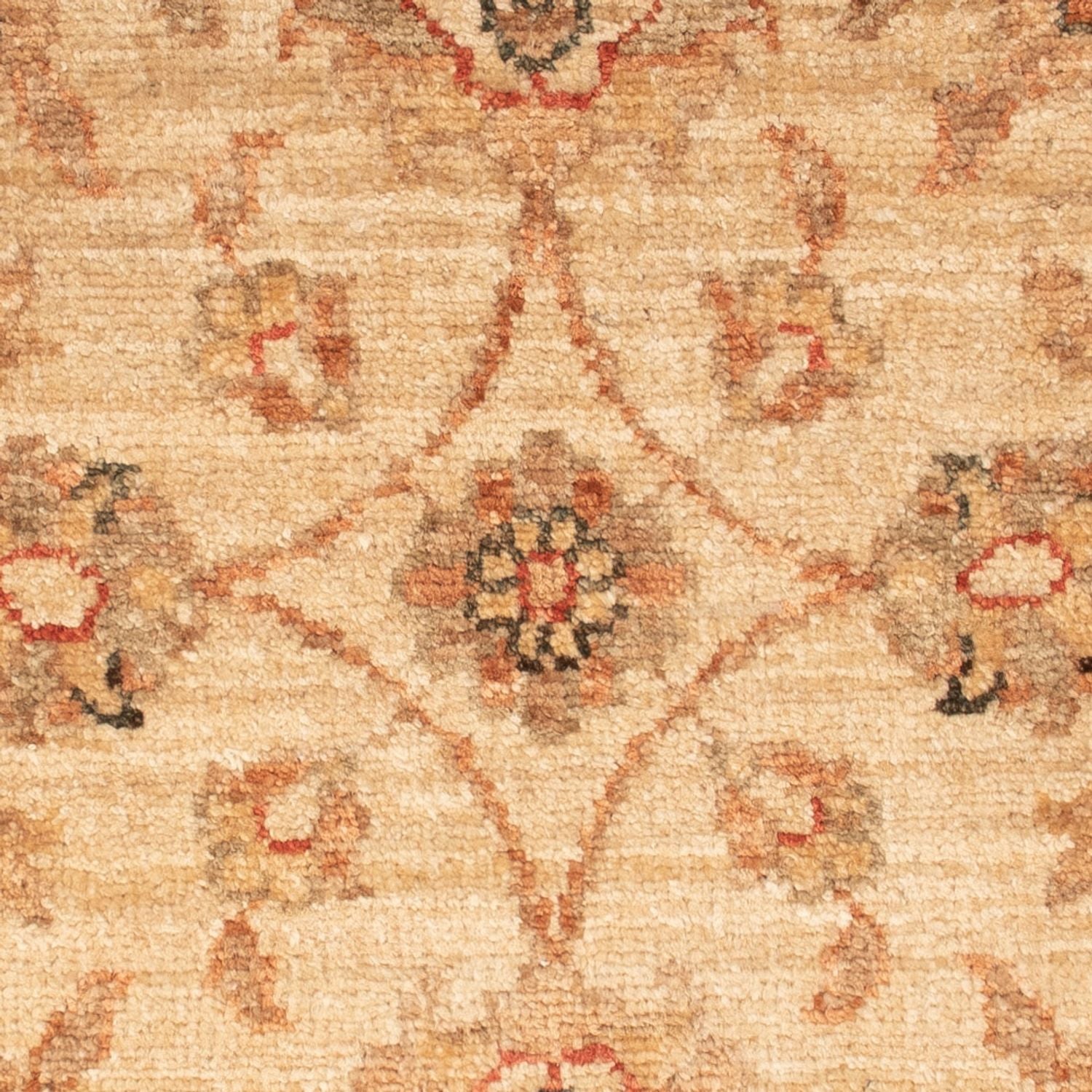 Tapis Ziegler - 68 x 48 cm - beige