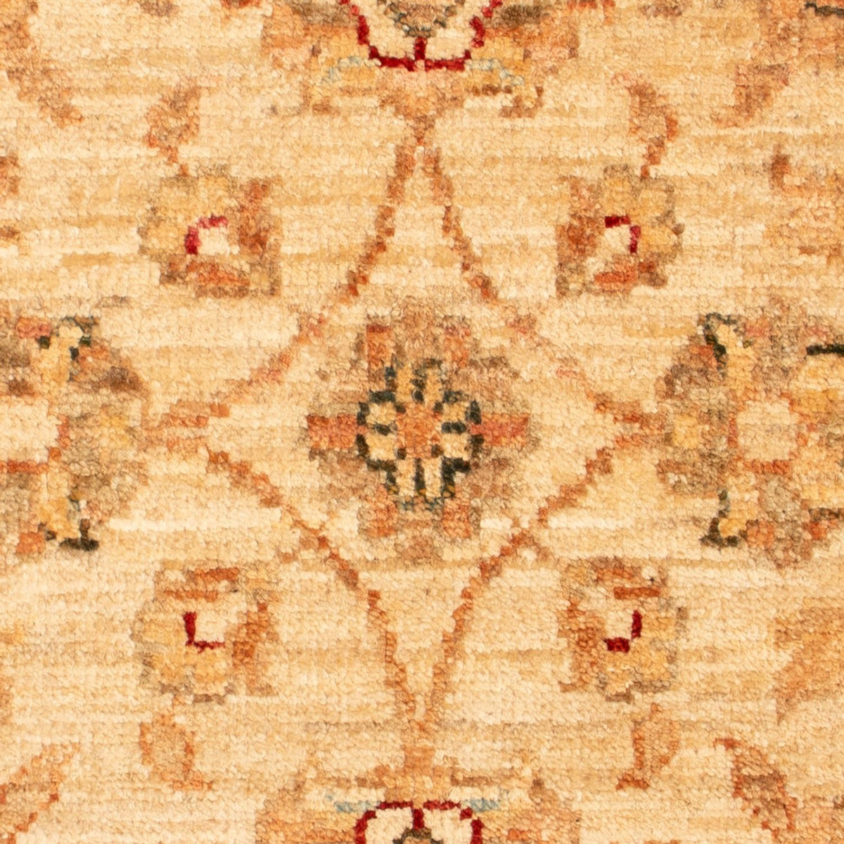 Tapis Ziegler - 71 x 51 cm - beige
