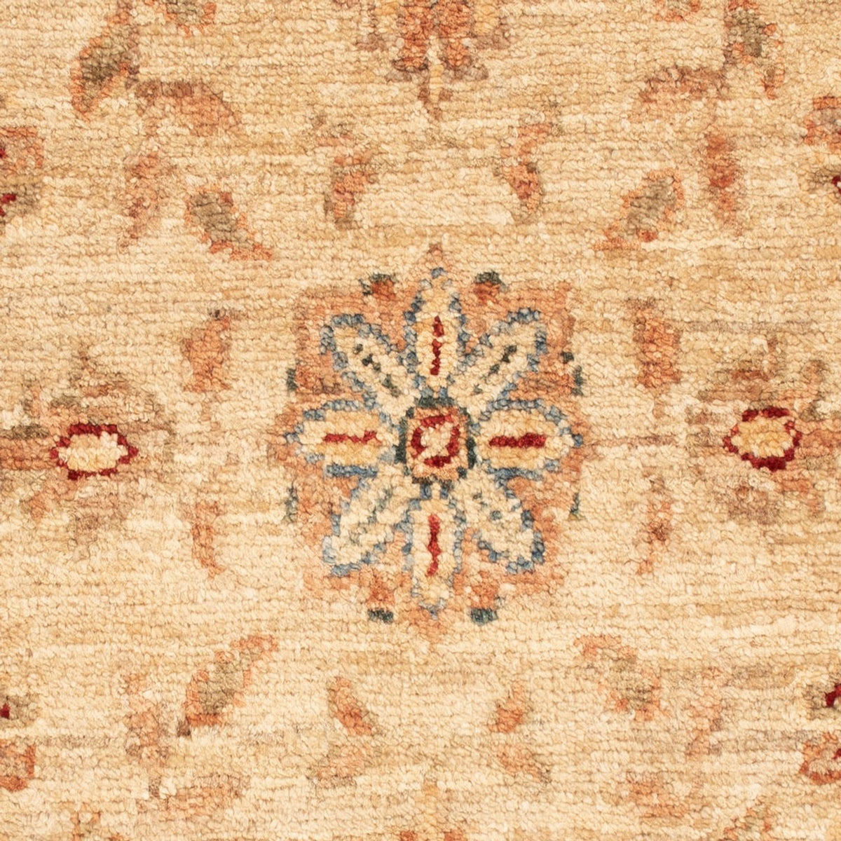 Tapis Ziegler - 73 x 48 cm - beige