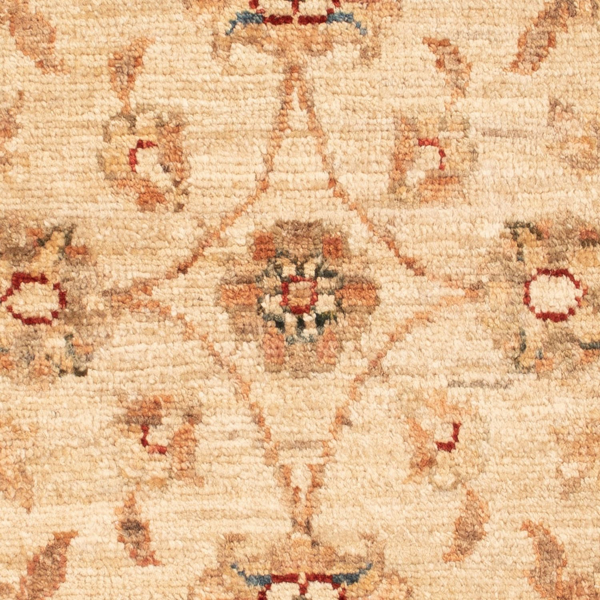 Tapis Ziegler - 75 x 50 cm - beige