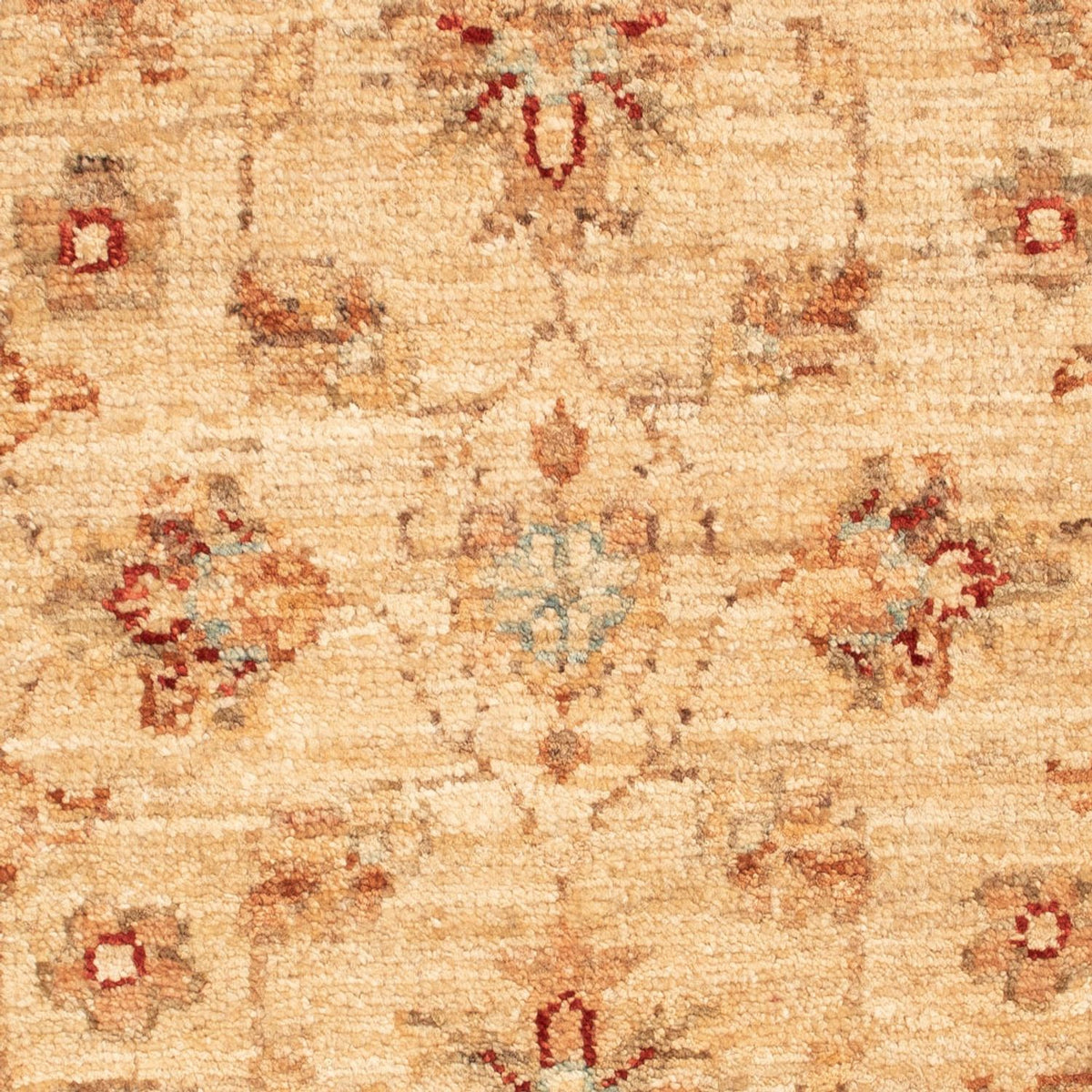 Tapis Ziegler - 68 x 50 cm - beige
