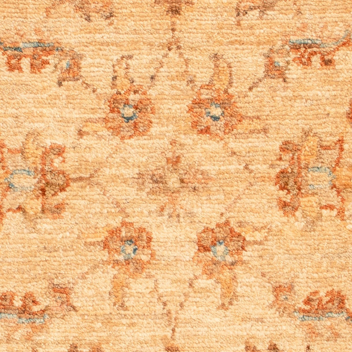 Tapis Ziegler - 73 x 52 cm - beige