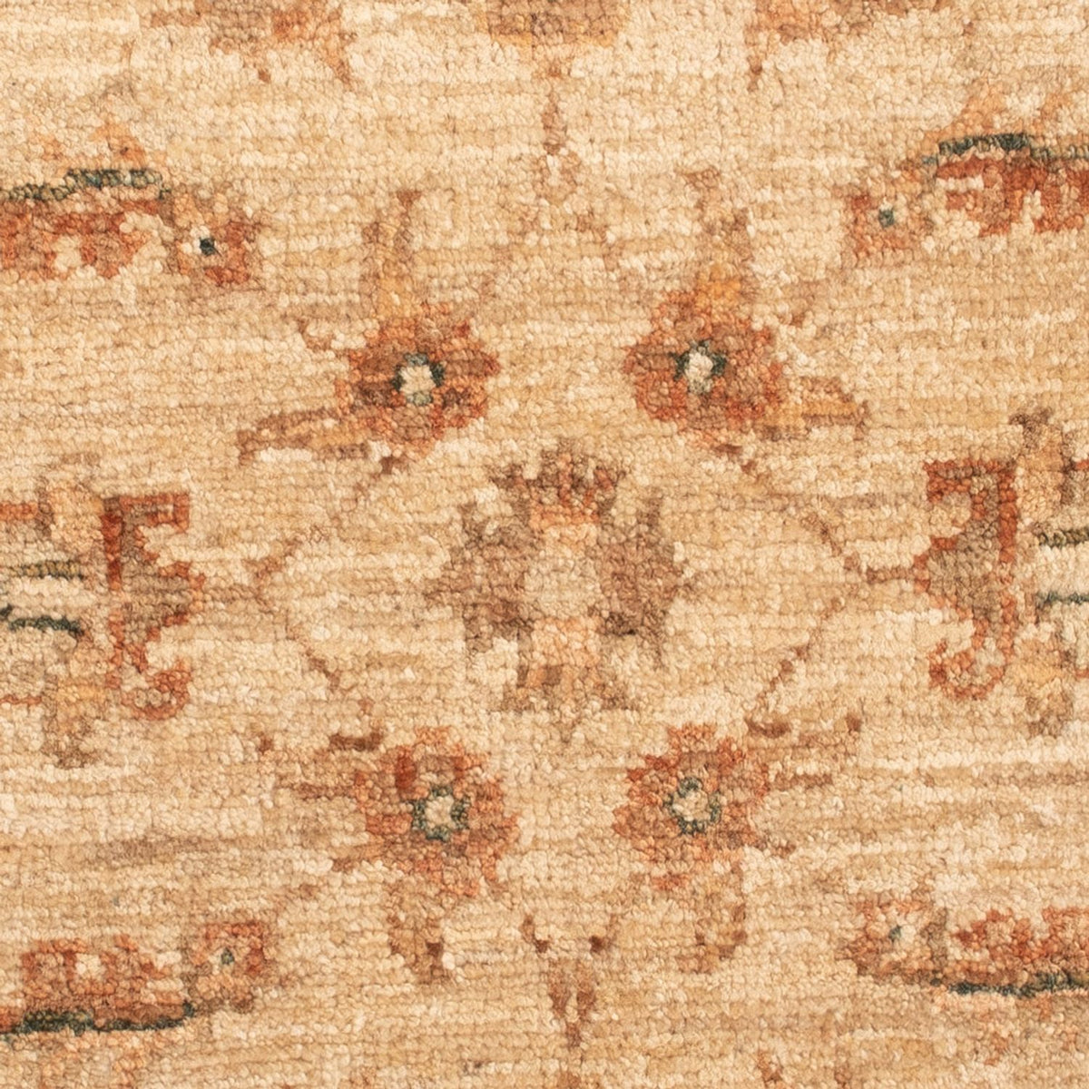 Tapis Ziegler - 66 x 51 cm - beige