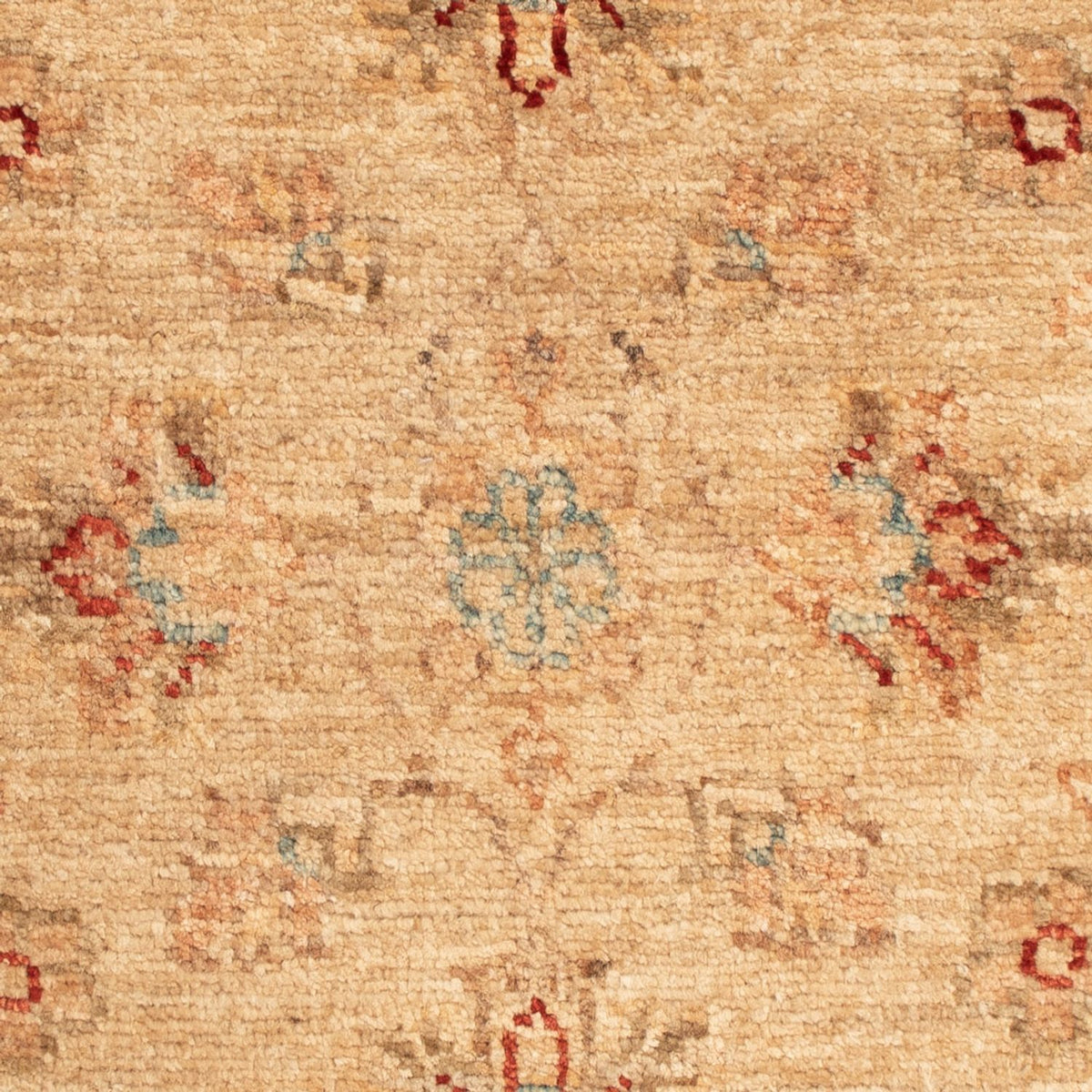 Tapis Ziegler - 67 x 52 cm - beige