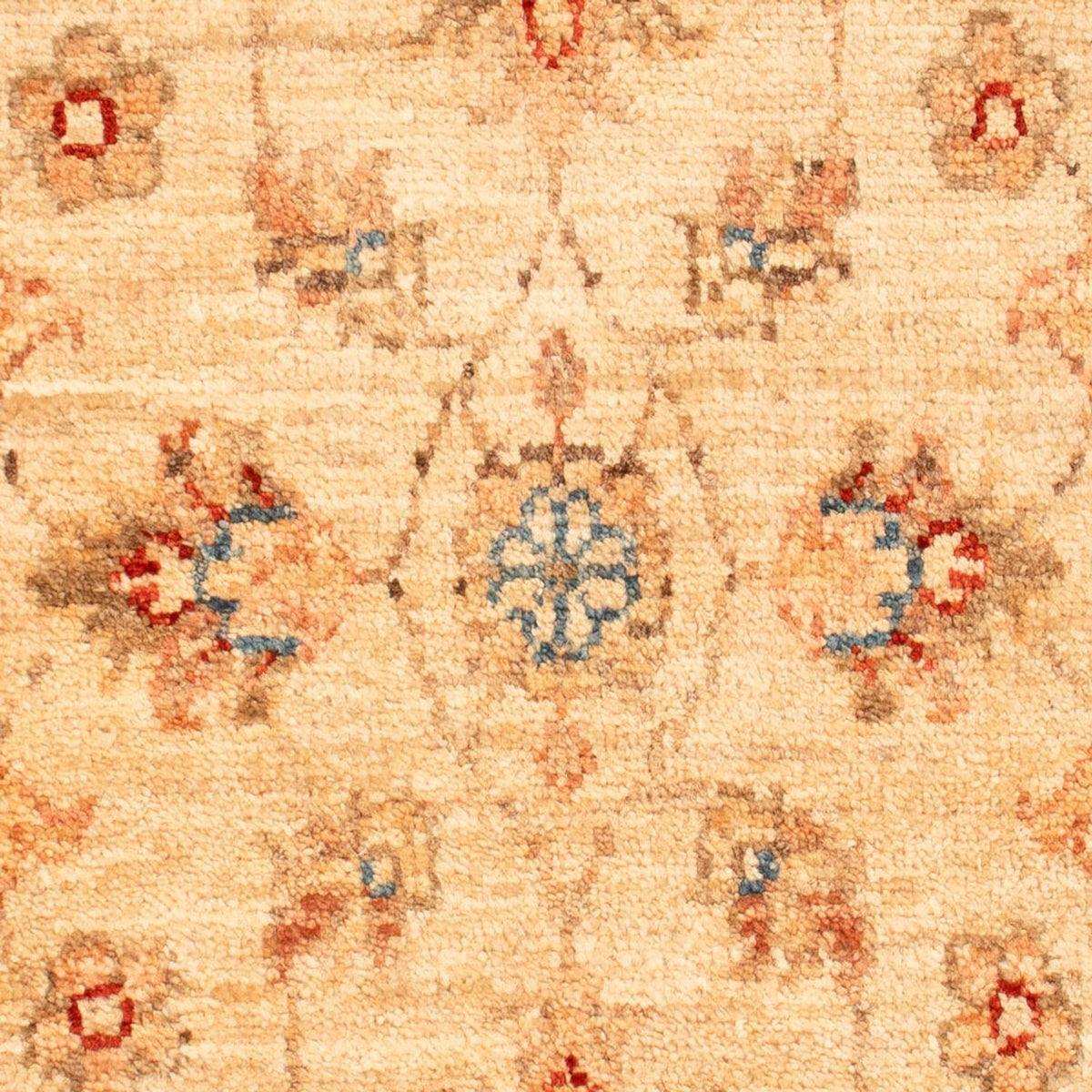 Tapis Ziegler - 77 x 49 cm - beige