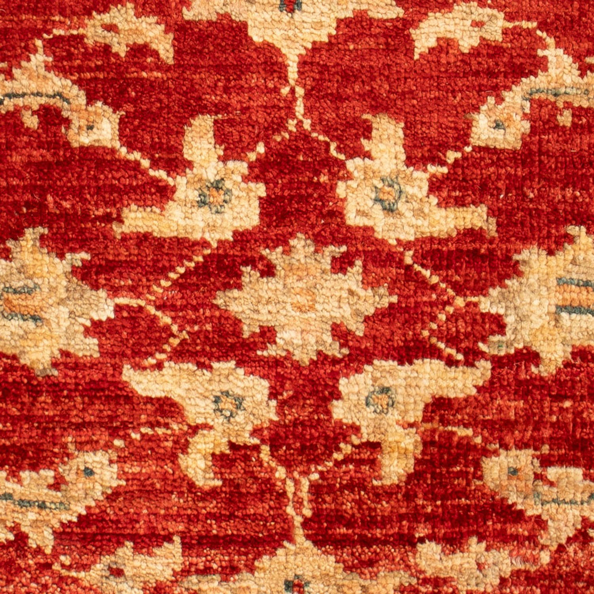 Tapis Ziegler - 61 x 43 cm - rouge