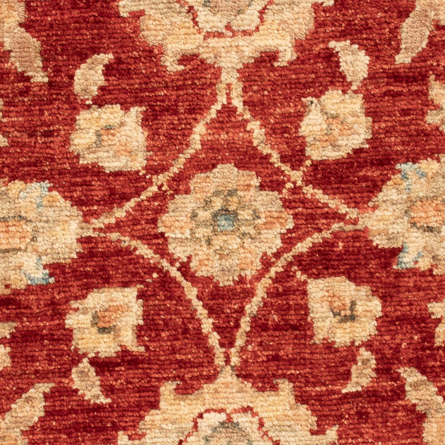 Tapis Ziegler - 68 x 53 cm - rouge