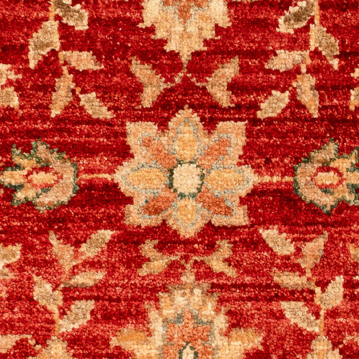 Tapis Ziegler - 64 x 51 cm - rouge