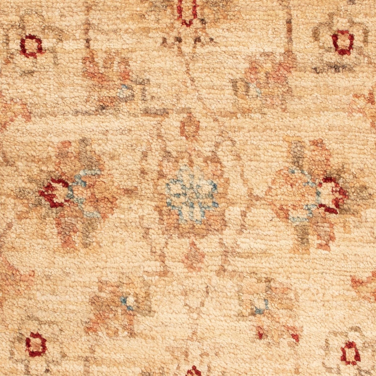 Tapis Ziegler - 74 x 50 cm - beige