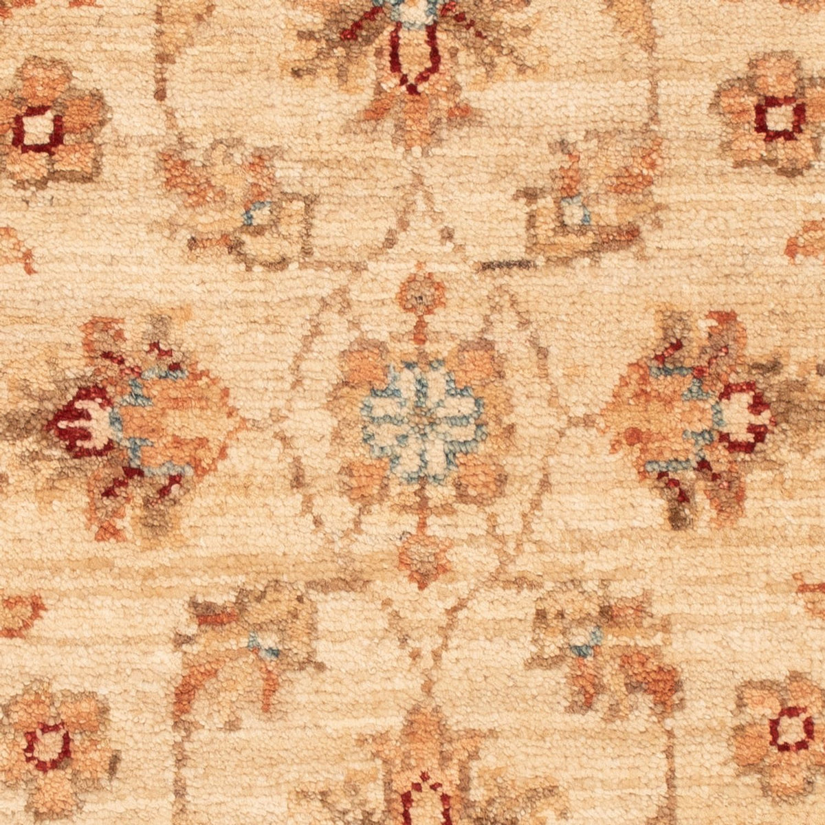 Tapis Ziegler - 70 x 50 cm - beige