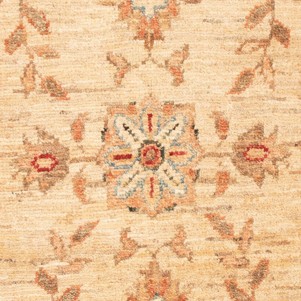 Tapis Ziegler - 72 x 54 cm - beige