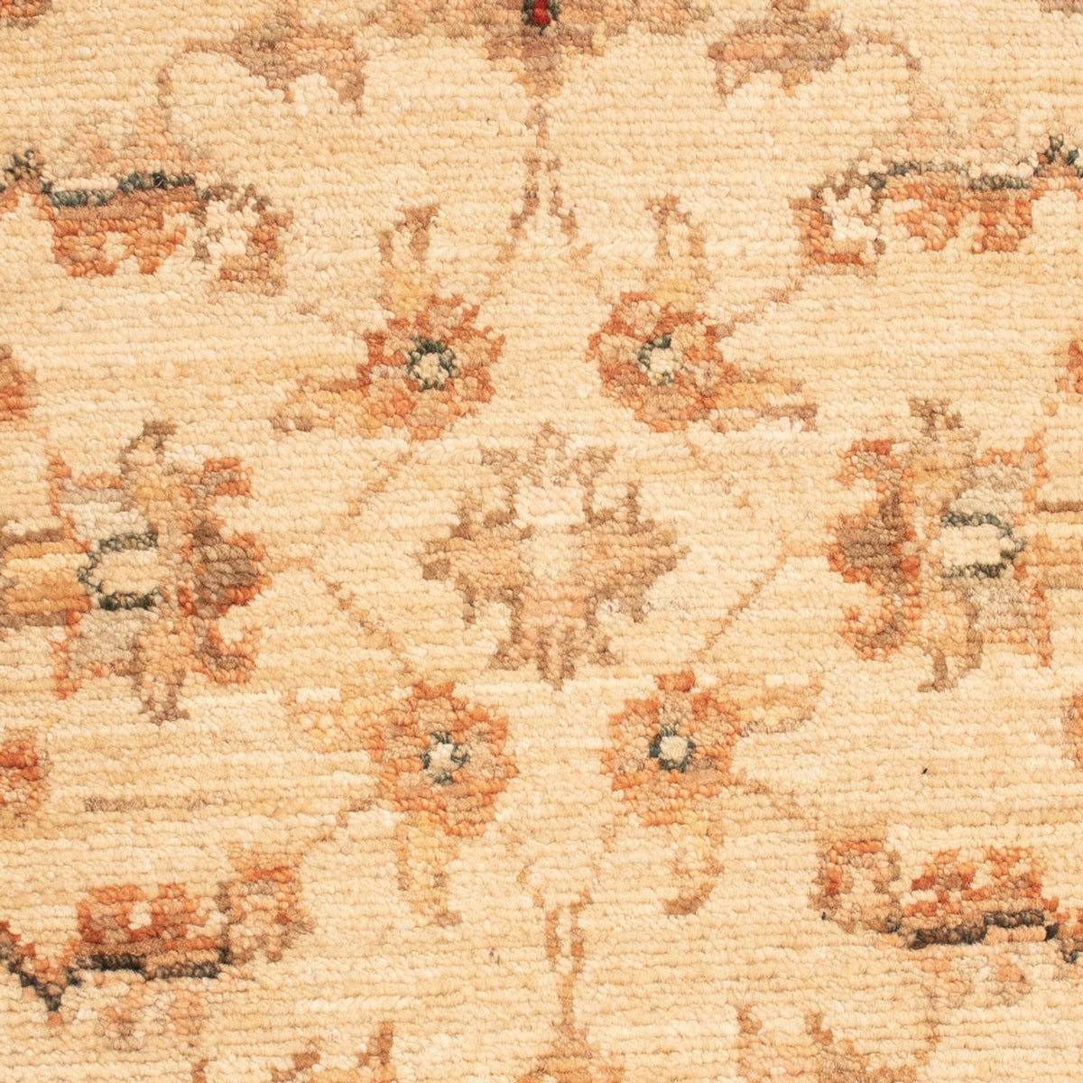 Tapis Ziegler - 69 x 48 cm - beige