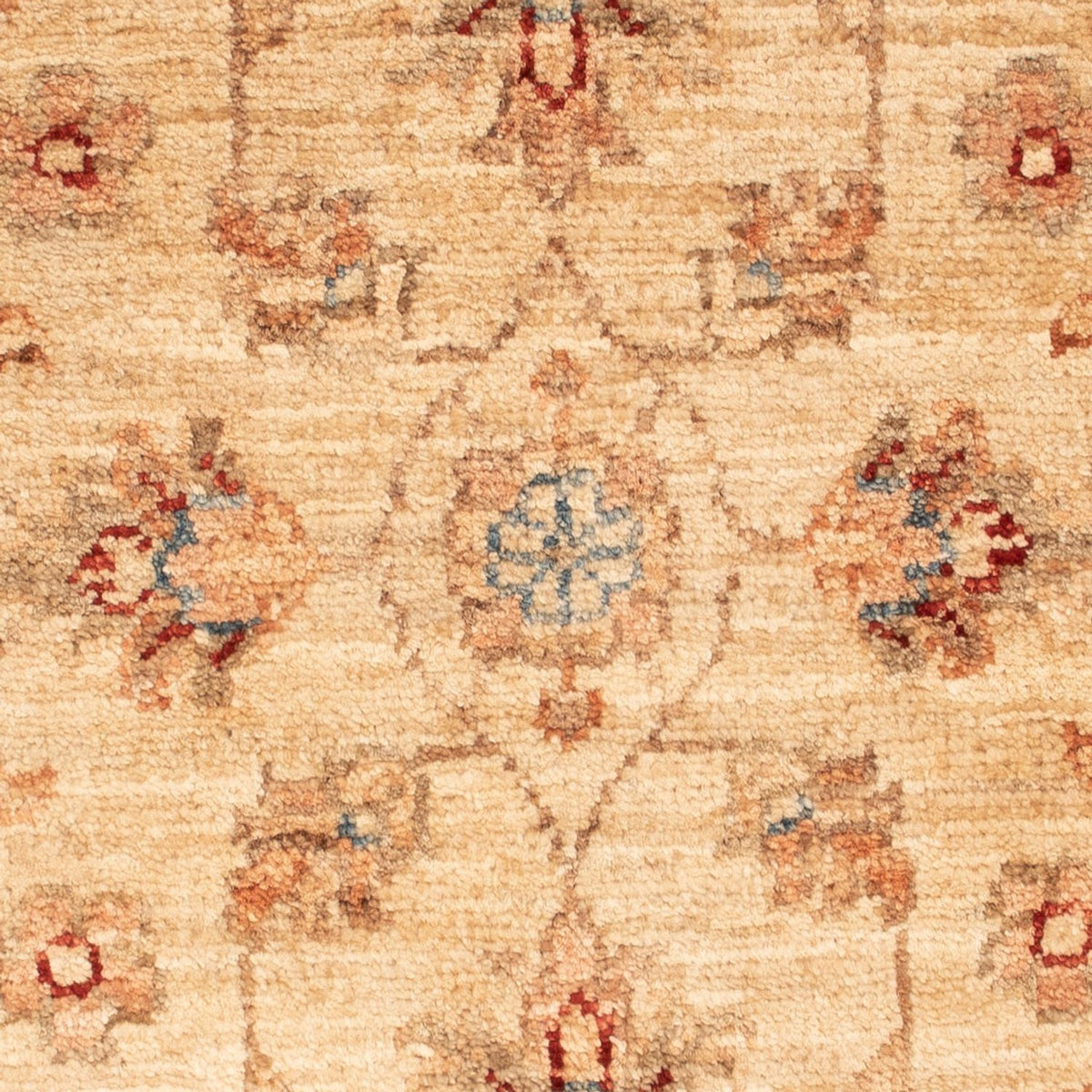 Tapis Ziegler - 70 x 51 cm - beige