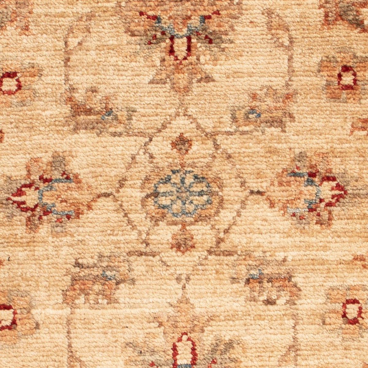 Tapis Ziegler - 67 x 48 cm - beige