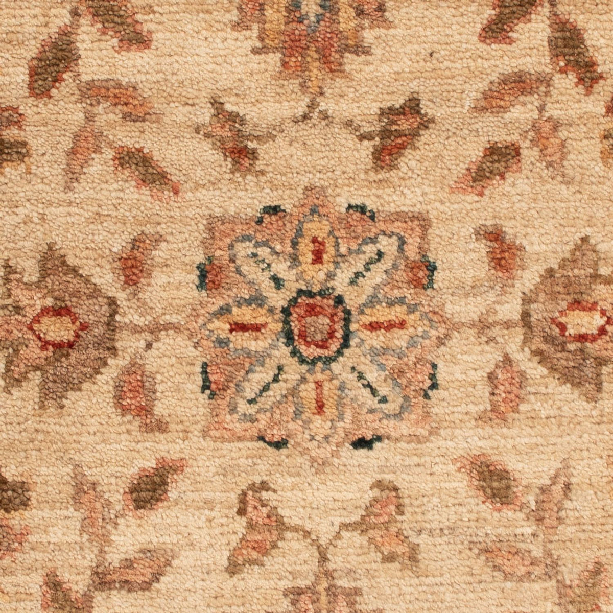 Tapis Ziegler - 71 x 50 cm - beige