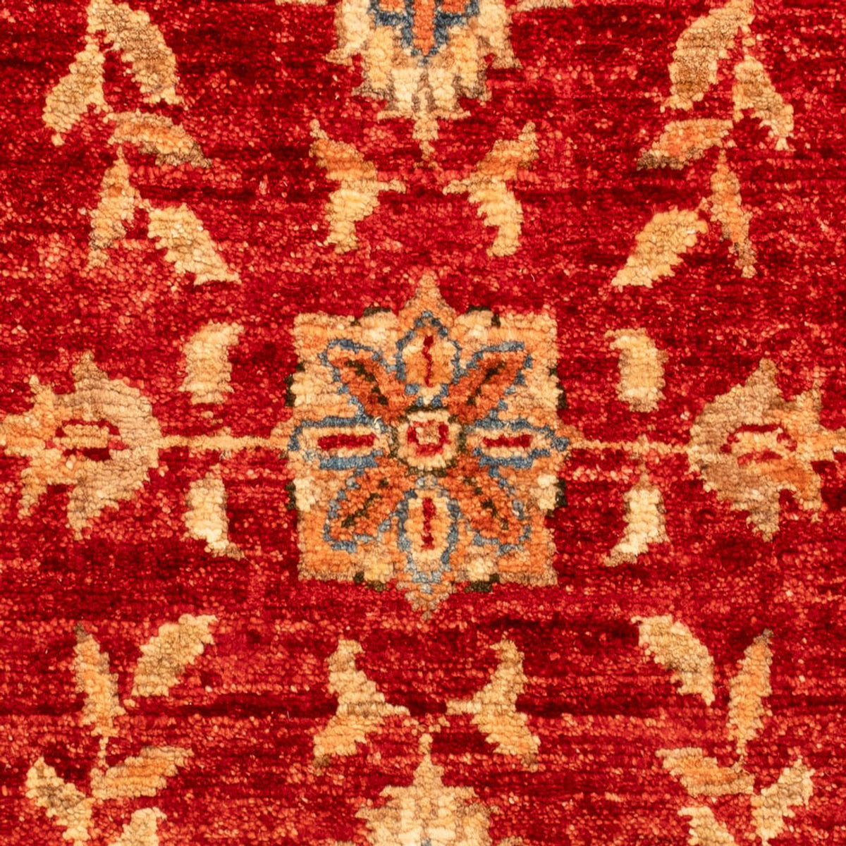 Tapis Ziegler - 68 x 49 cm - rouge