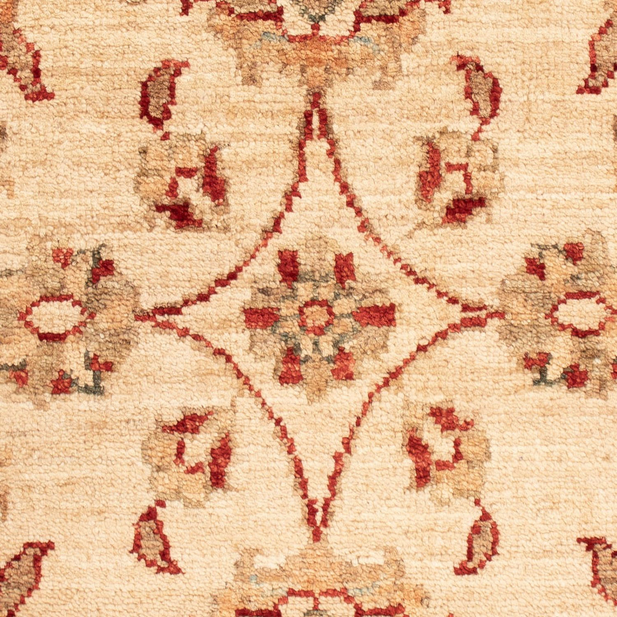 Tapis Ziegler - 70 x 51 cm - beige