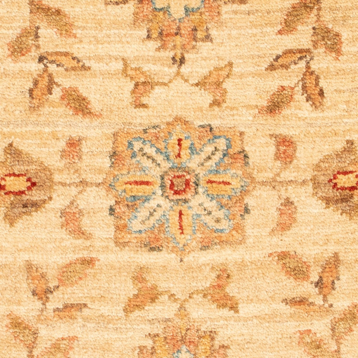 Tapis Ziegler - 64 x 51 cm - beige