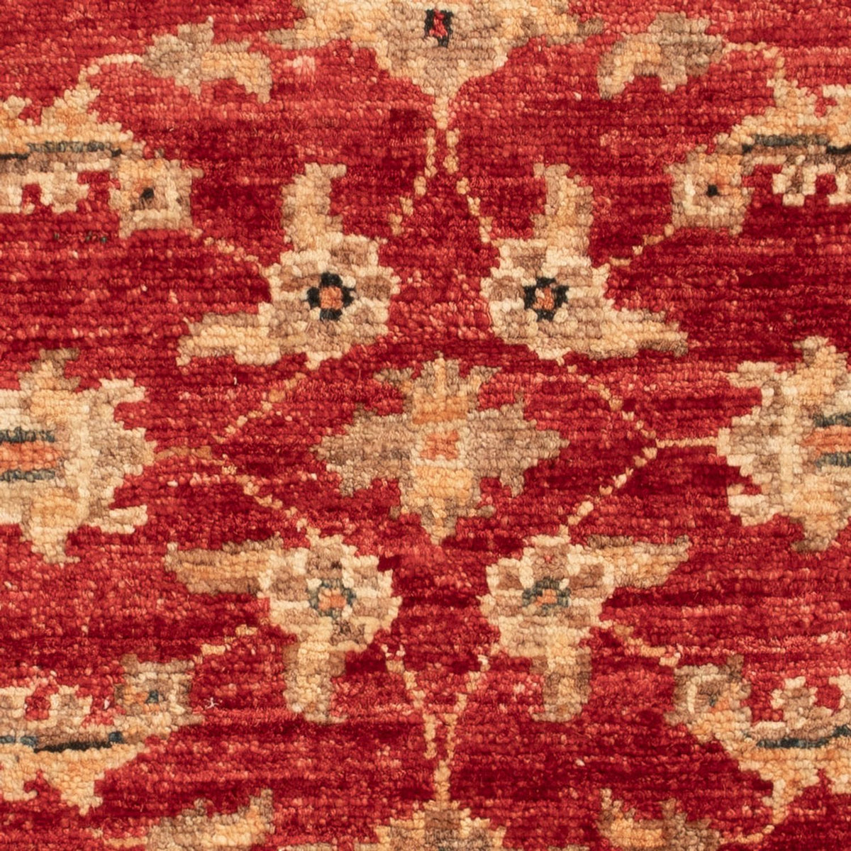 Tapis Ziegler - 60 x 52 cm - rouge