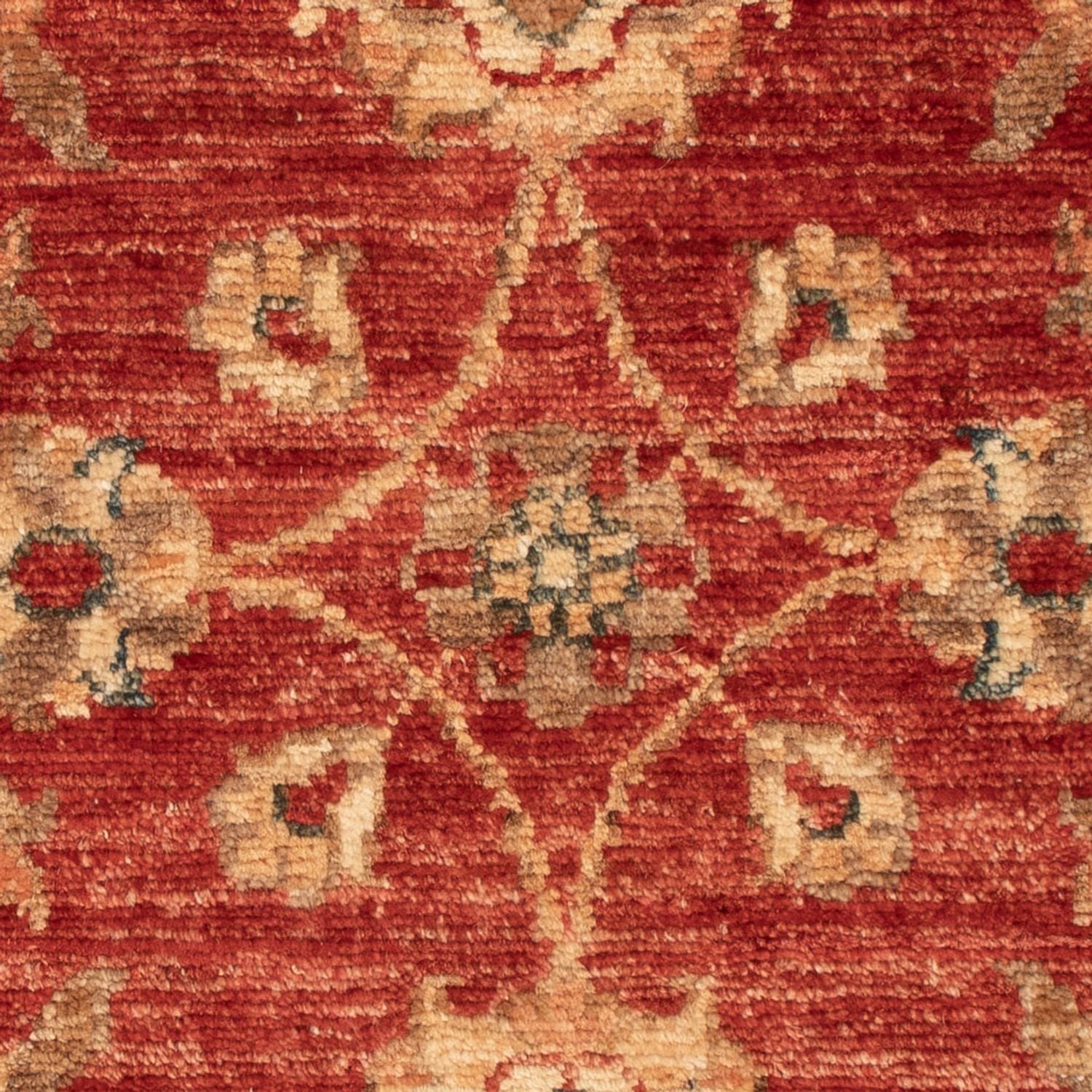 Tapis Ziegler - 70 x 48 cm - rouge