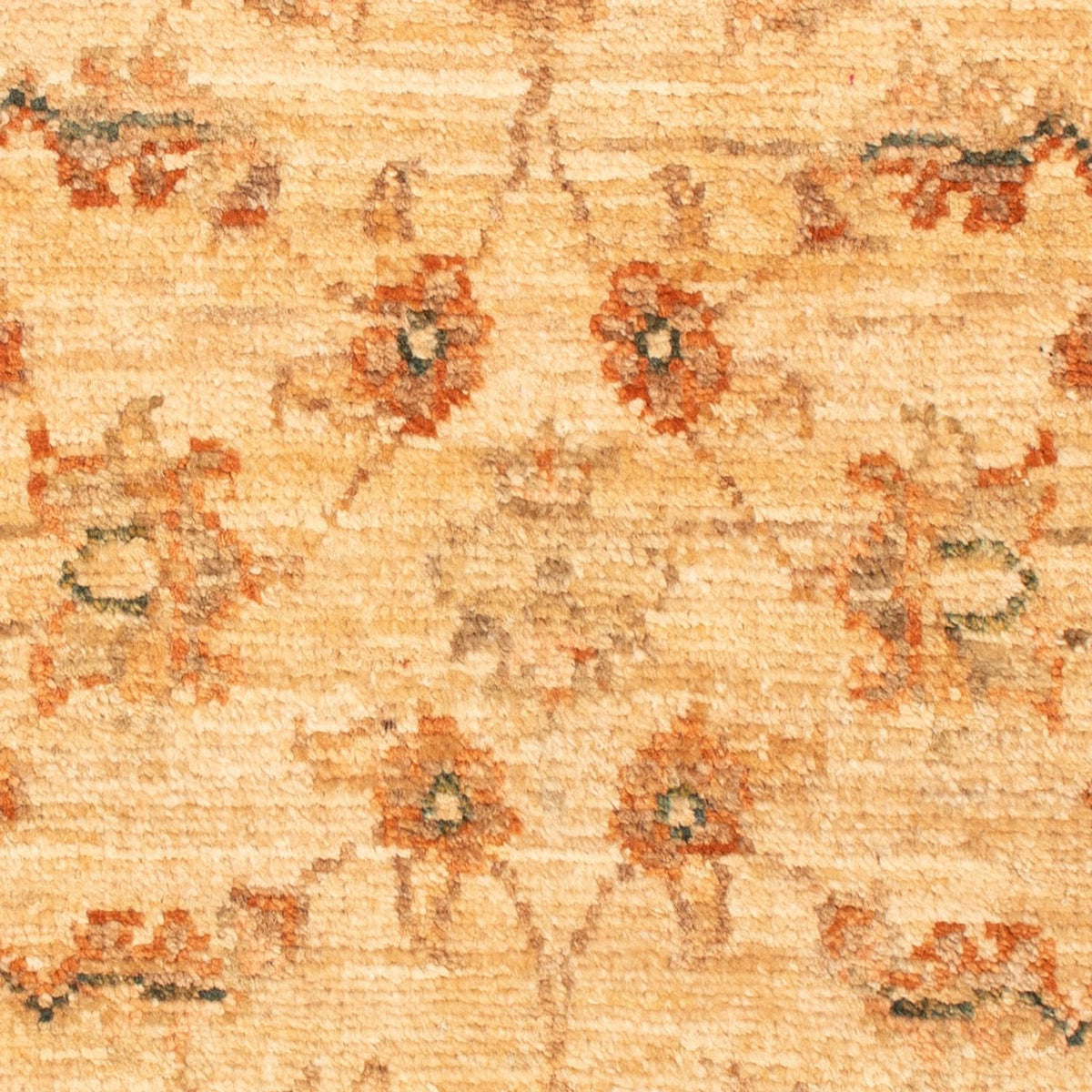 Tapis Ziegler - 73 x 50 cm - beige