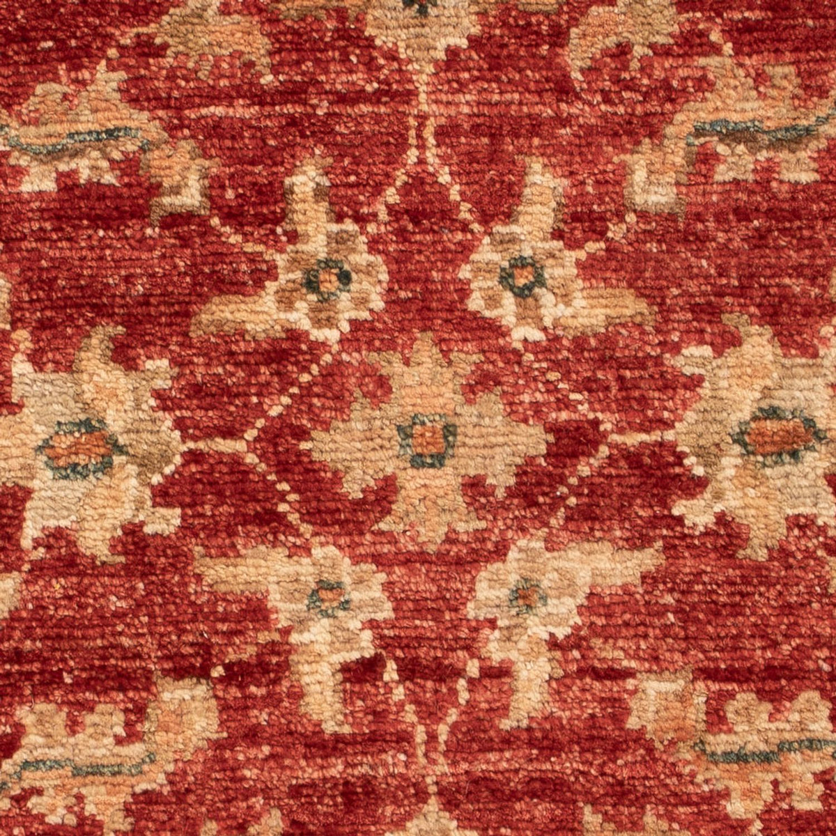 Tapis Ziegler - 67 x 49 cm - rouge