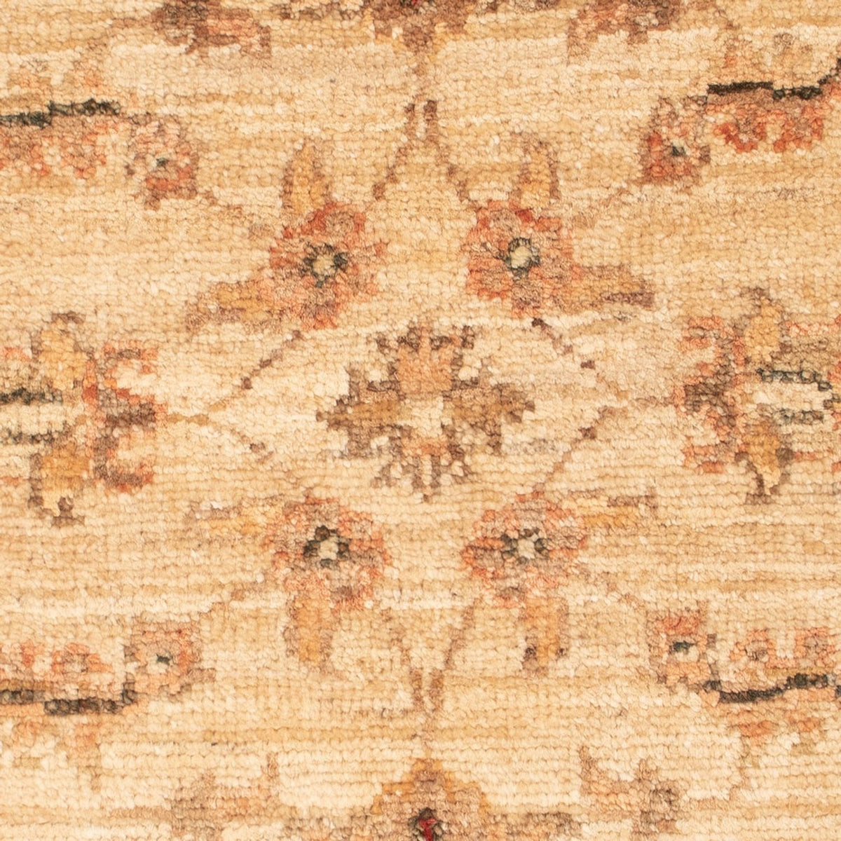 Tapis Ziegler - 65 x 49 cm - beige