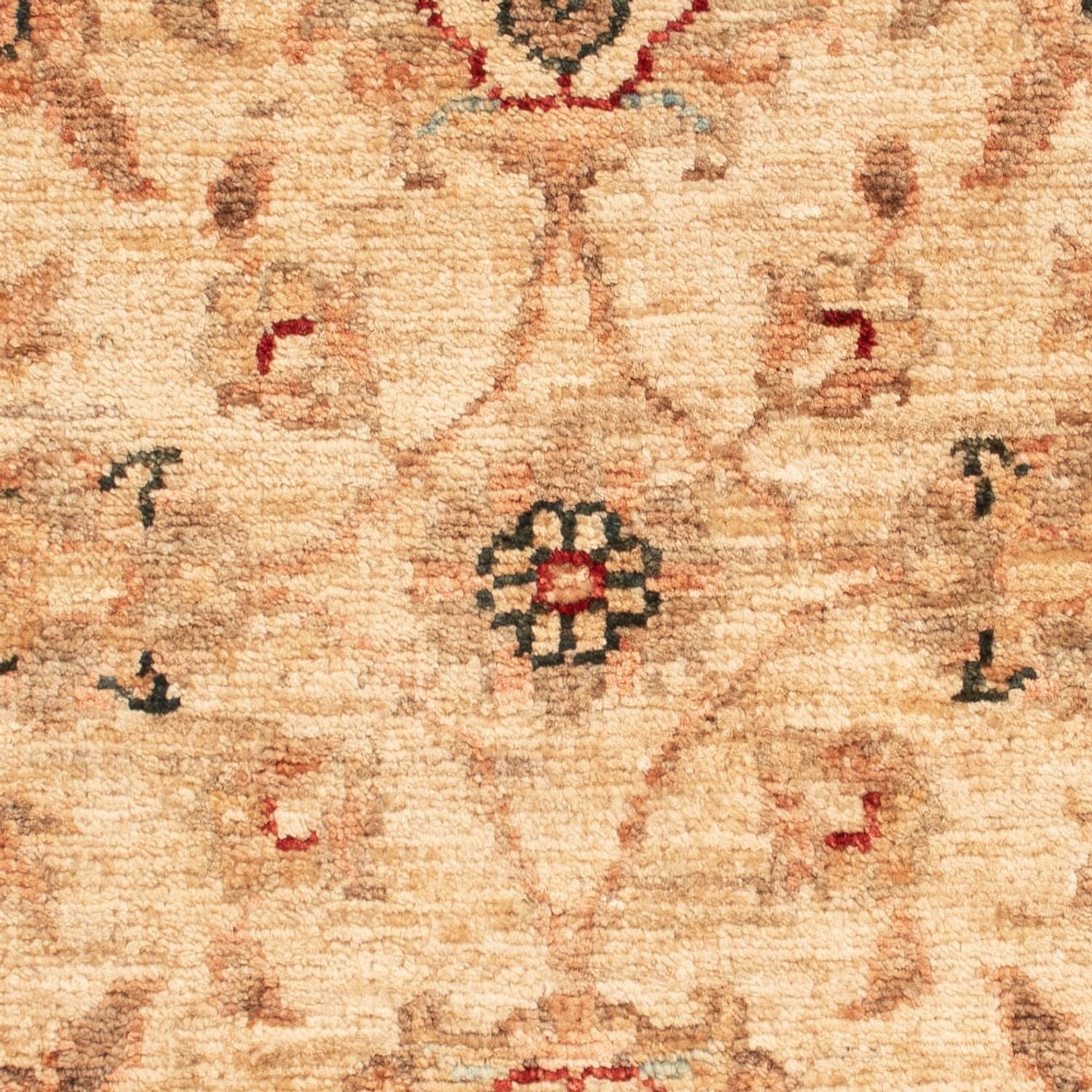 Tapis Ziegler - 66 x 52 cm - beige