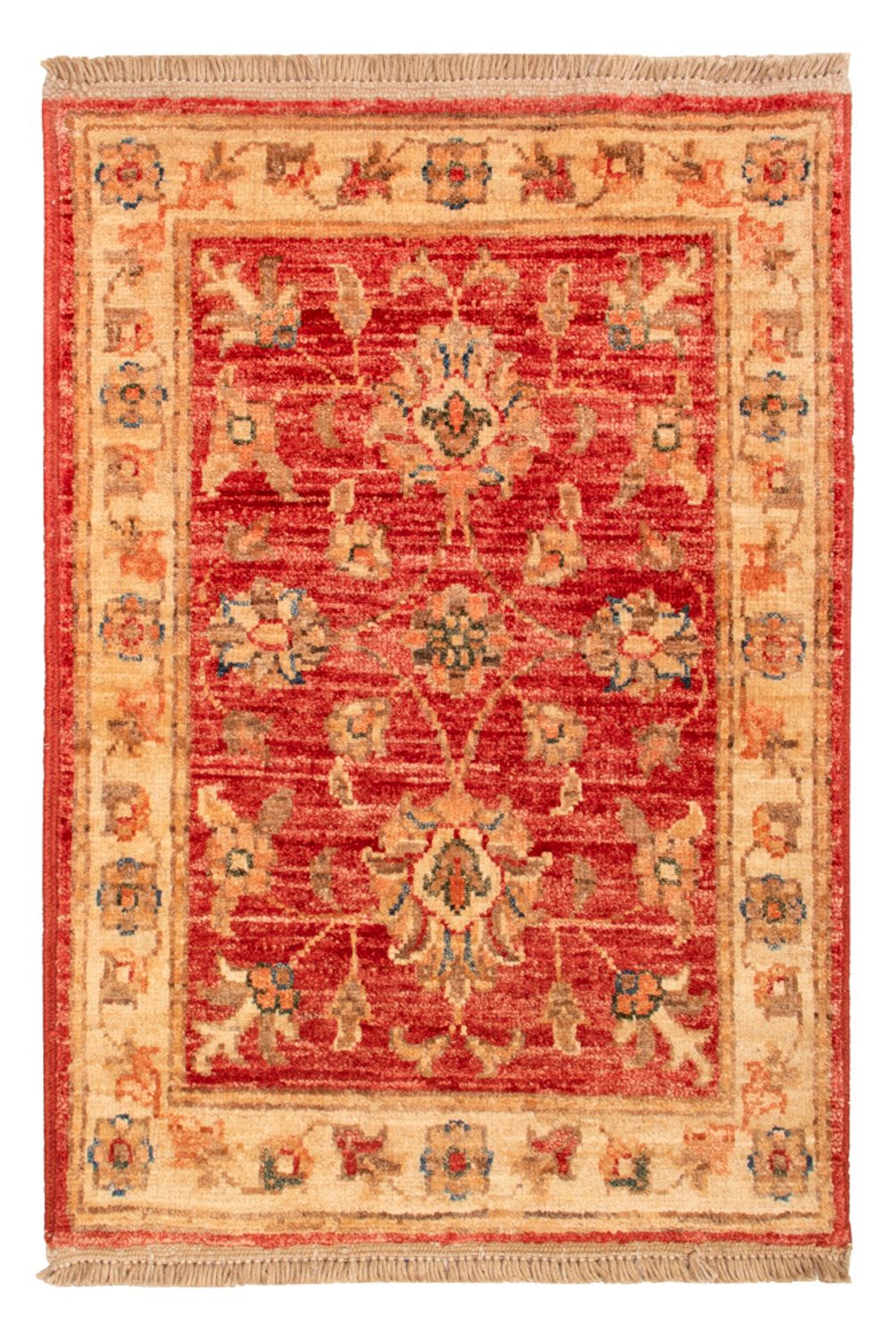 Tapis Ziegler - 74 x 52 cm - rouge