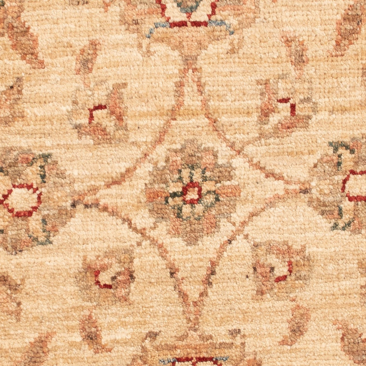 Tapis Ziegler - 75 x 54 cm - beige