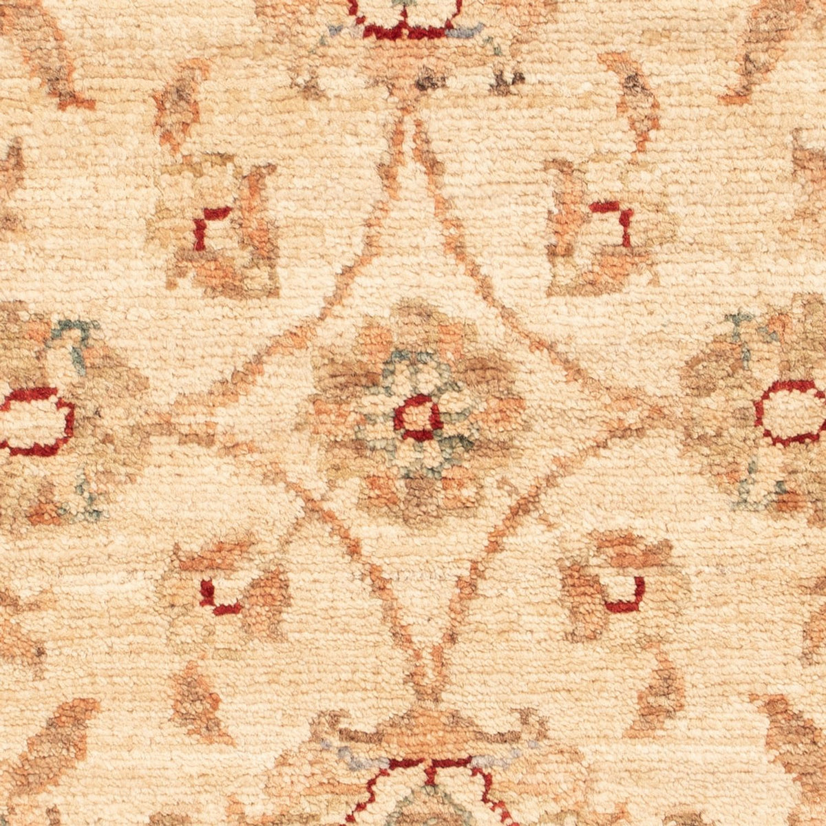 Tapis Ziegler - 65 x 49 cm - beige
