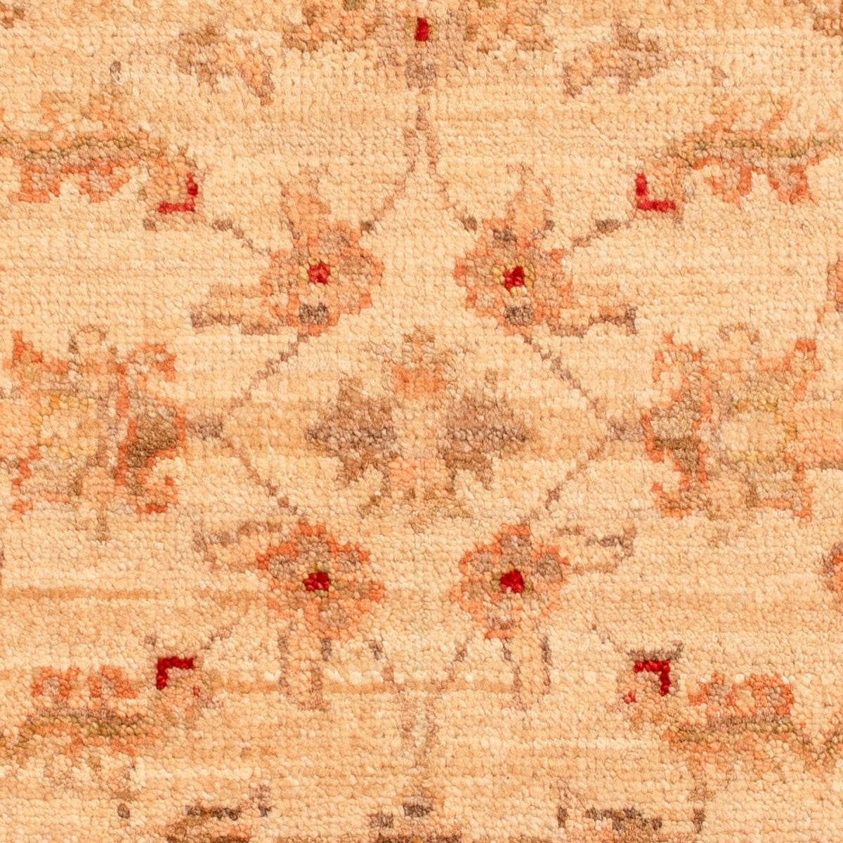 Tapis Ziegler - 68 x 51 cm - beige