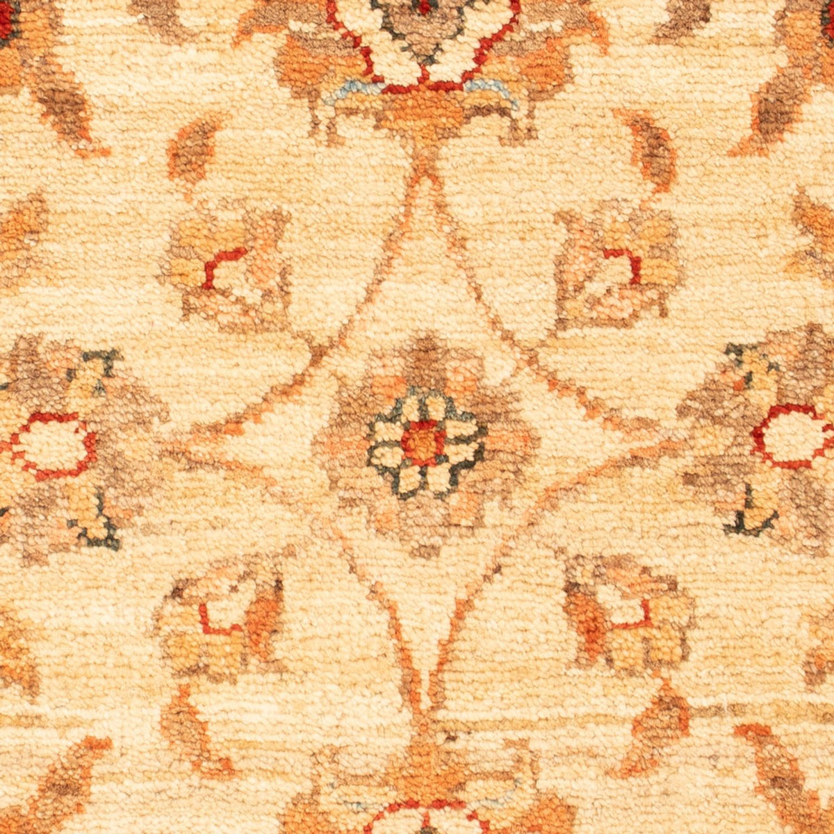 Tapis Ziegler - 71 x 52 cm - beige