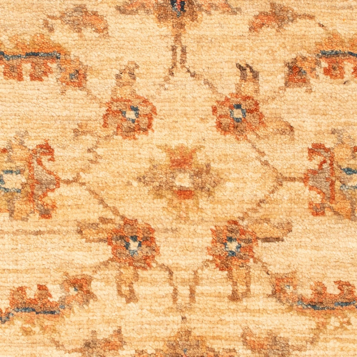 Tapis Ziegler - 65 x 54 cm - beige