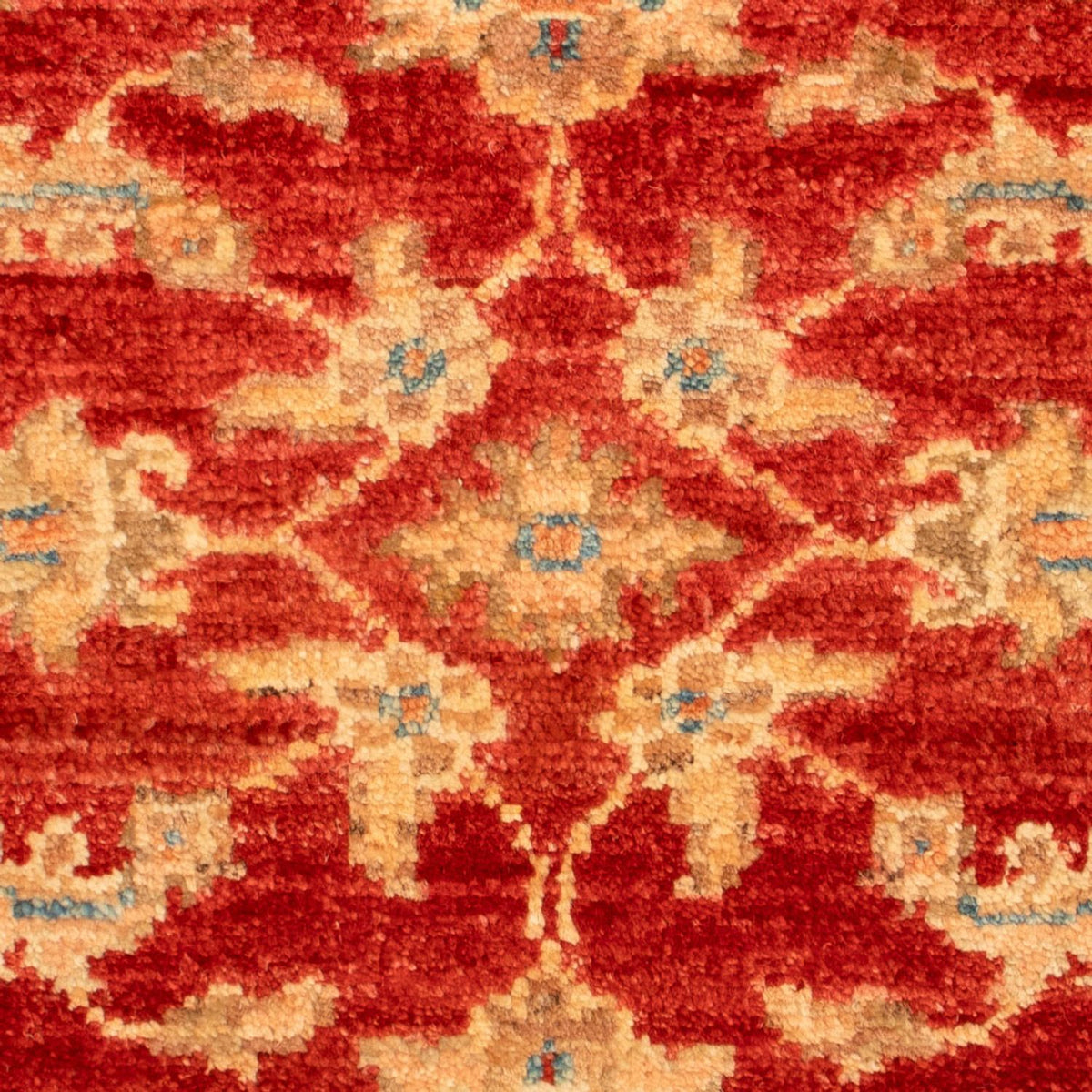 Tapis Ziegler - 69 x 53 cm - rouge