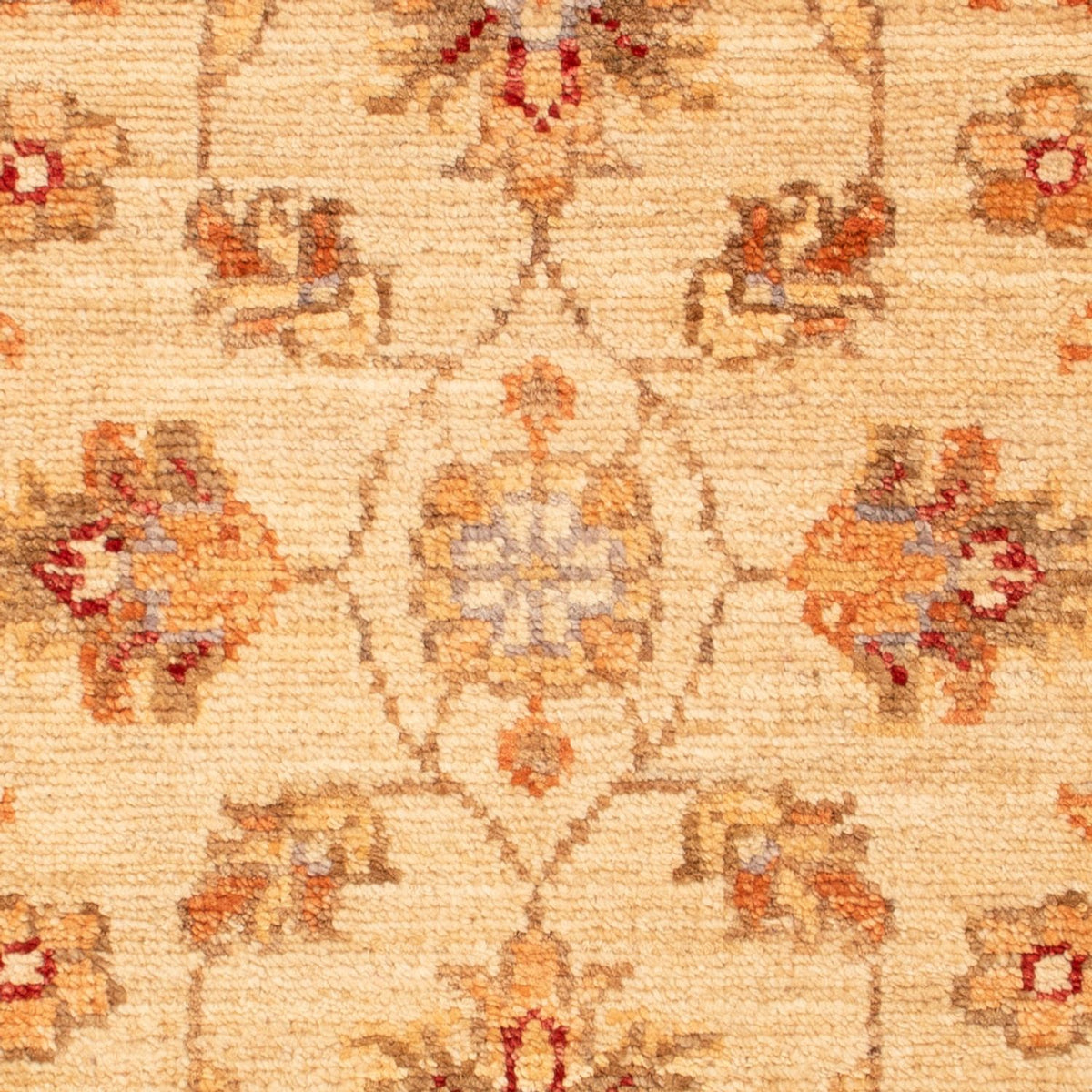 Tapis Ziegler - 72 x 52 cm - beige
