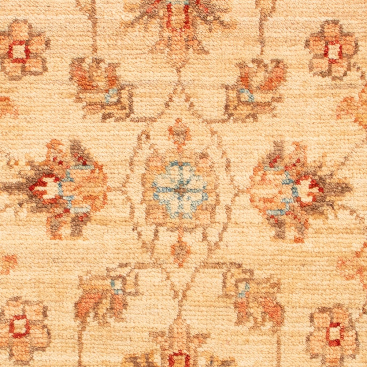 Tapis Ziegler - 75 x 51 cm - beige