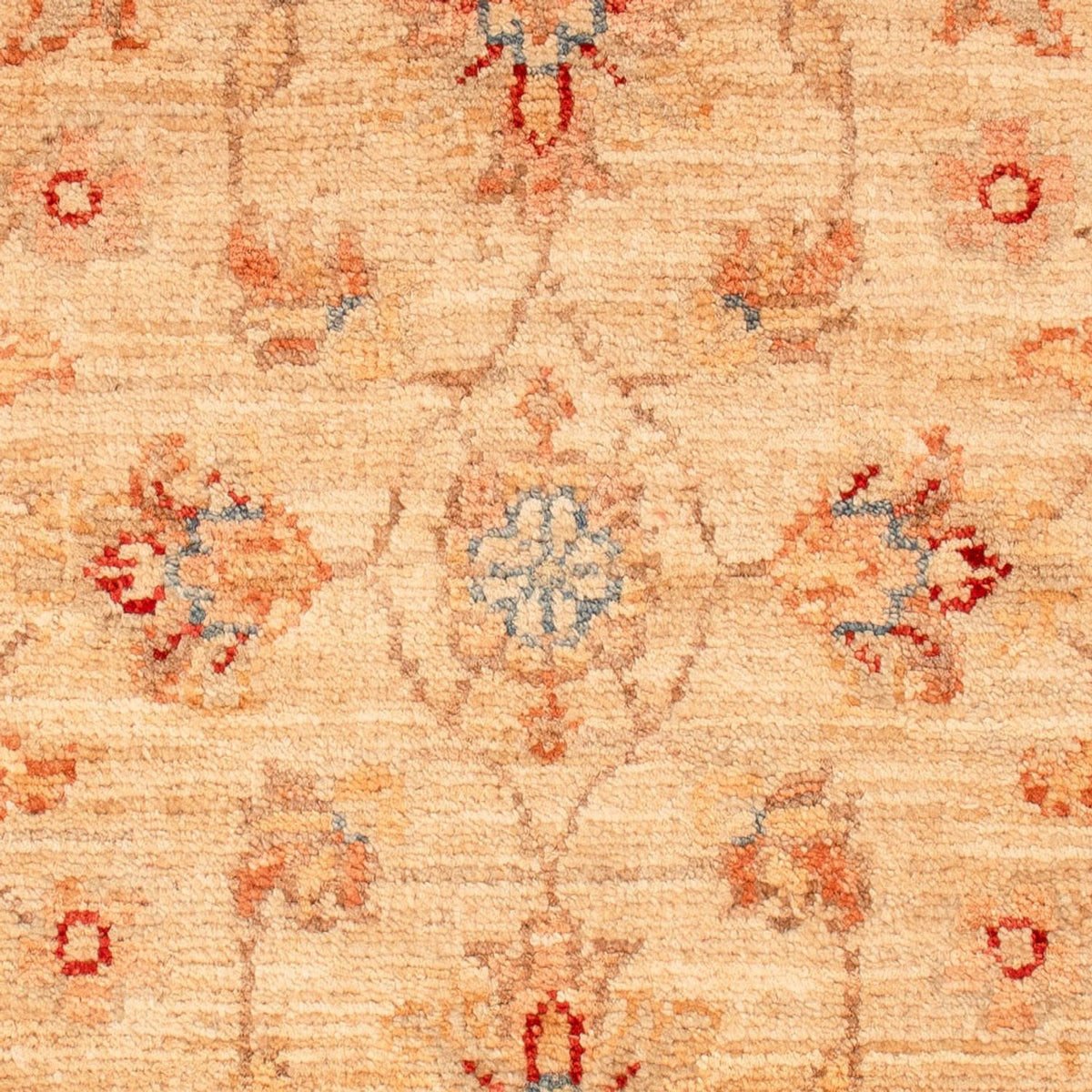 Tapis Ziegler - 68 x 51 cm - beige