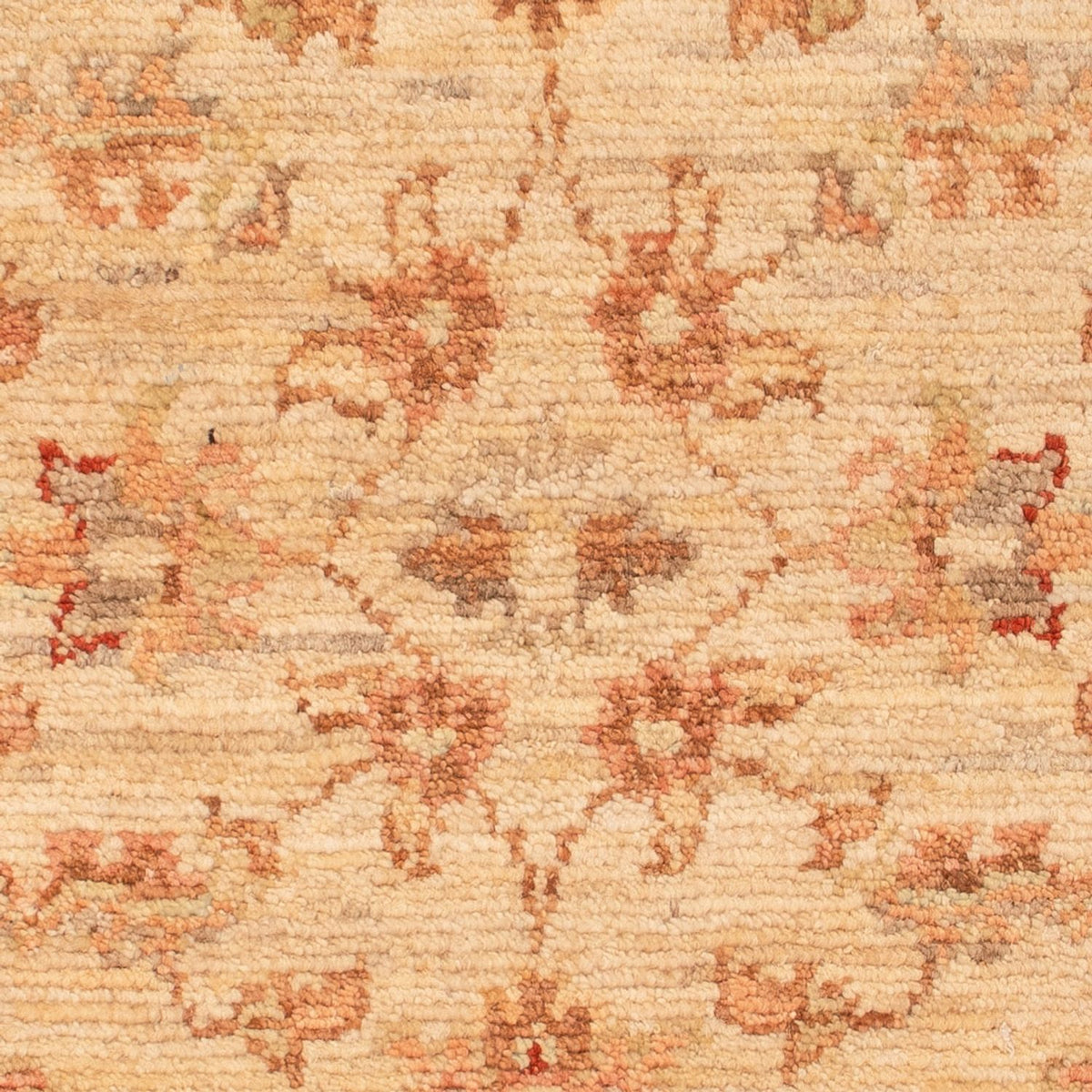 Tapis Ziegler - 68 x 47 cm - beige