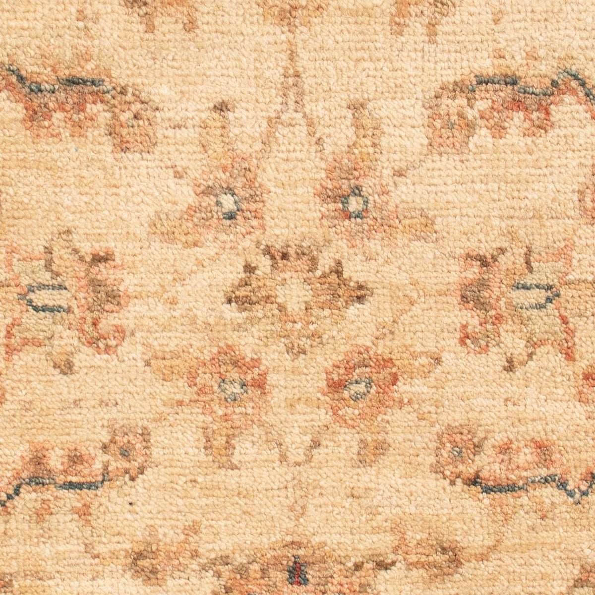 Tapis Ziegler - 69 x 50 cm - beige