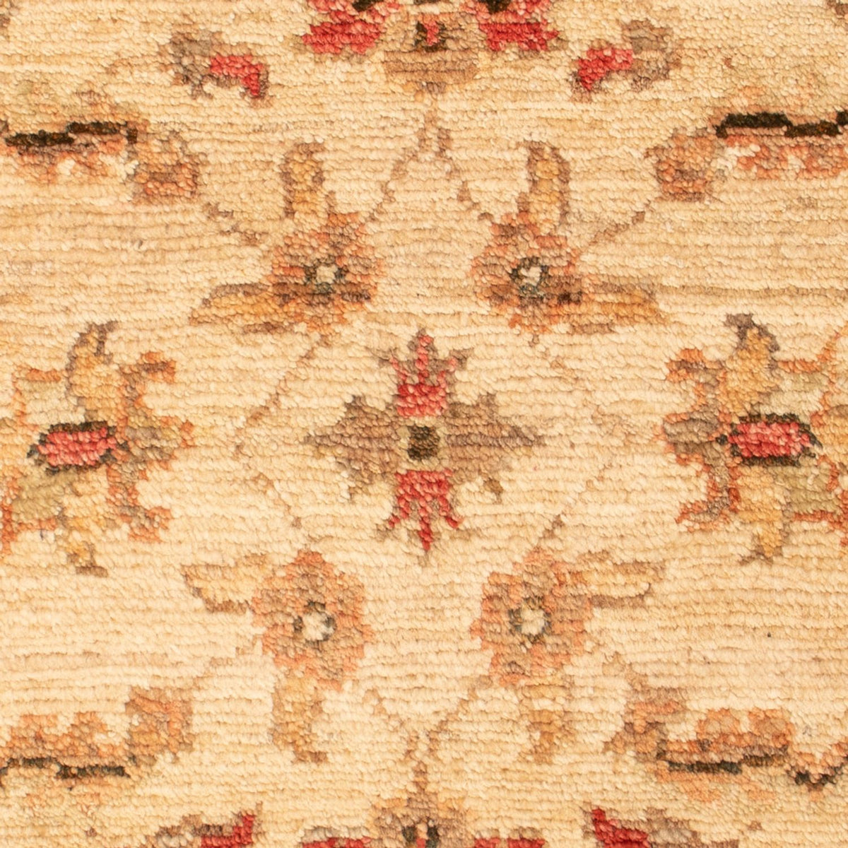 Tapis Ziegler - 68 x 52 cm - beige