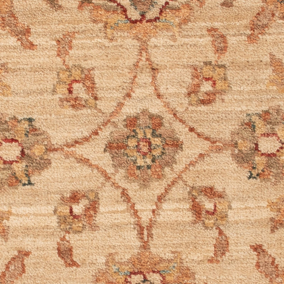 Tapis Ziegler - 66 x 49 cm - beige