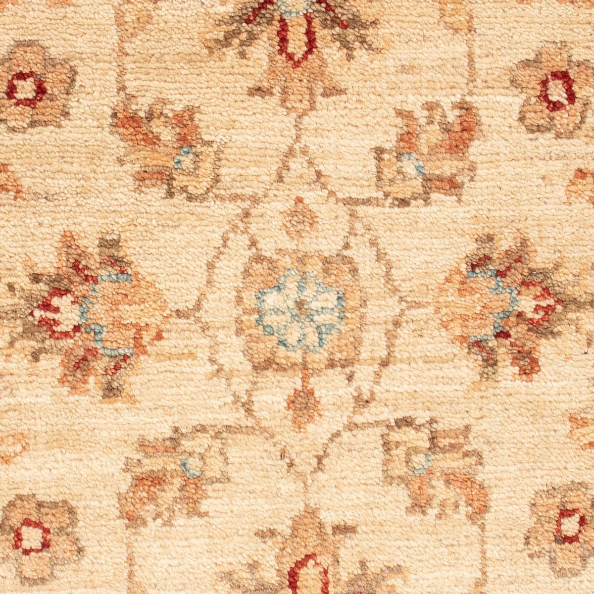 Tapis Ziegler - 68 x 50 cm - beige