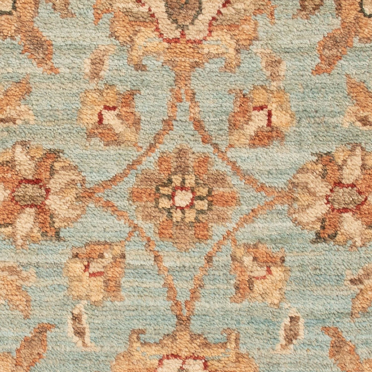 Tapis Ziegler - 70 x 50 cm - turquoise