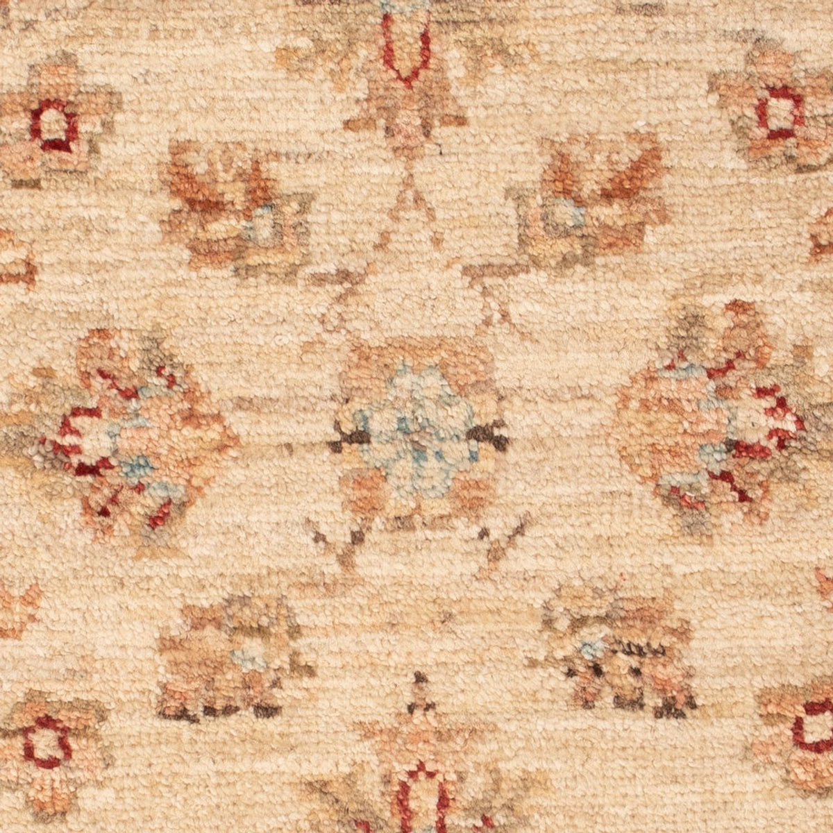 Tapis Ziegler - 69 x 50 cm - beige