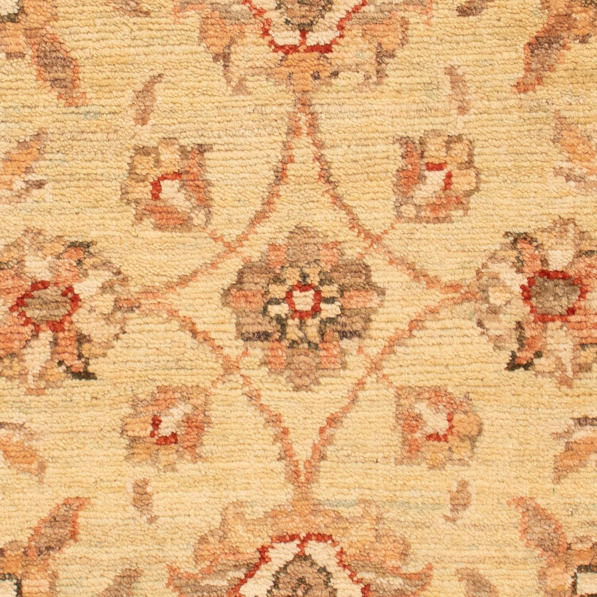 Tapis Ziegler - 69 x 52 cm - beige
