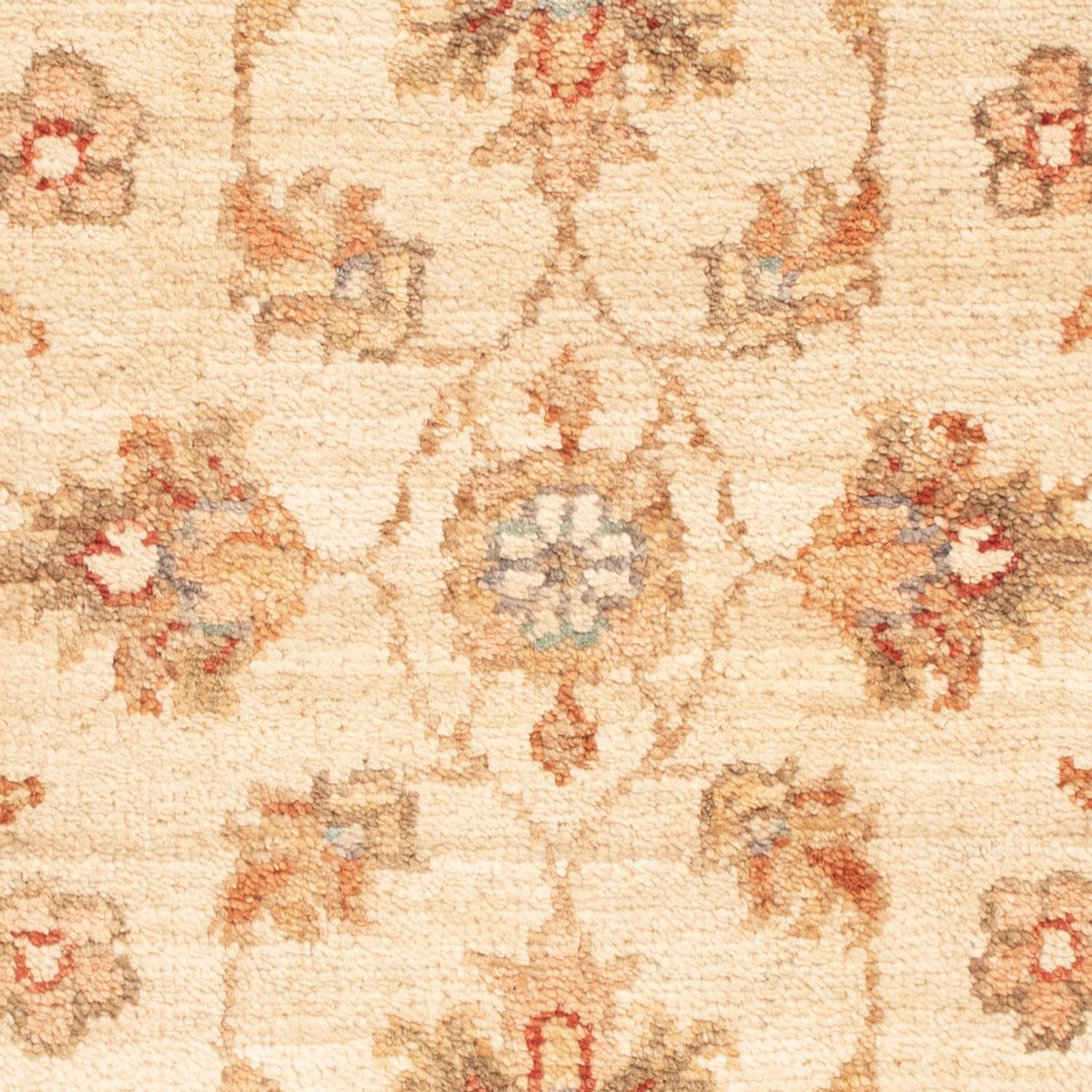 Tapis Ziegler - 68 x 52 cm - beige